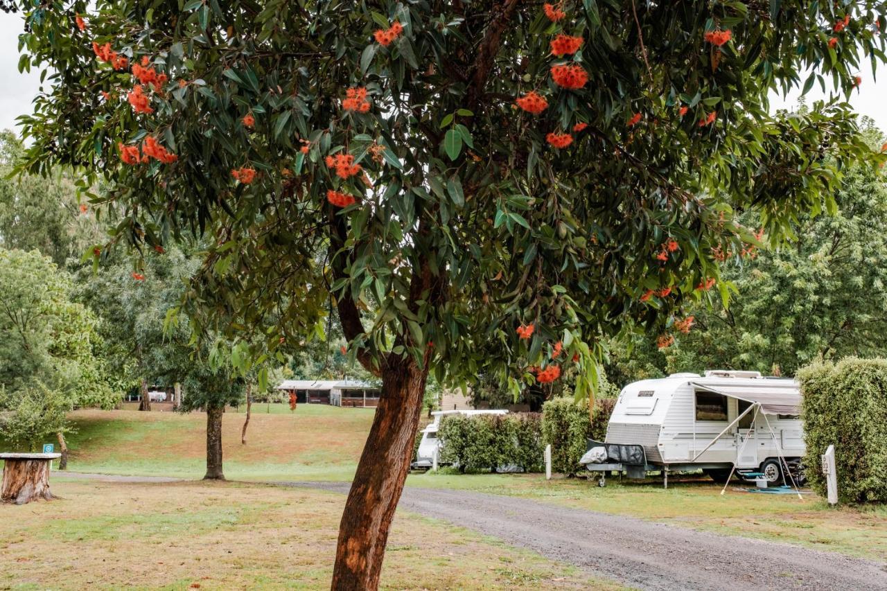 Big4 Breeze Holiday Parks - Eildon Exterior photo